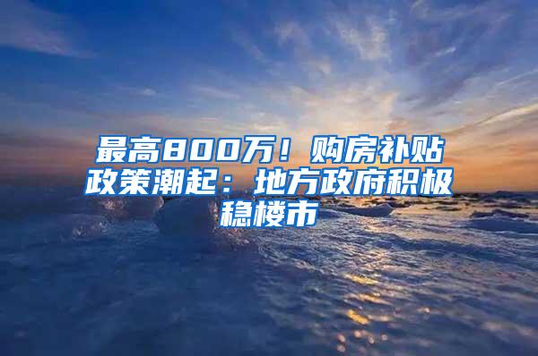 最高800万！购房补贴政策潮起：地方政府积极稳楼市