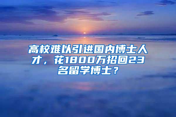 高校难以引进国内博士人才，花1800万招回23名留学博士？