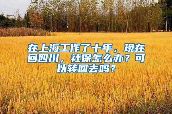 在上海工作了十年，现在回四川，社保怎么办？可以转回去吗？