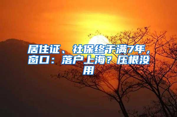 居住证、社保终于满7年，窗口：落户上海？压根没用