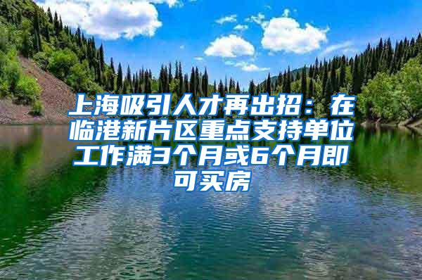 上海吸引人才再出招：在临港新片区重点支持单位工作满3个月或6个月即可买房