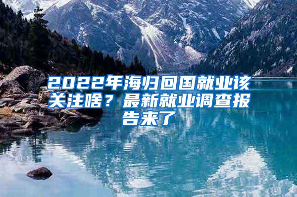 2022年海归回国就业该关注啥？最新就业调查报告来了