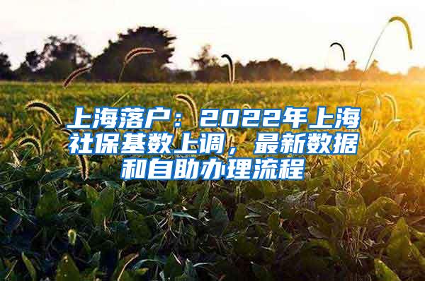 上海落户：2022年上海社保基数上调，最新数据和自助办理流程