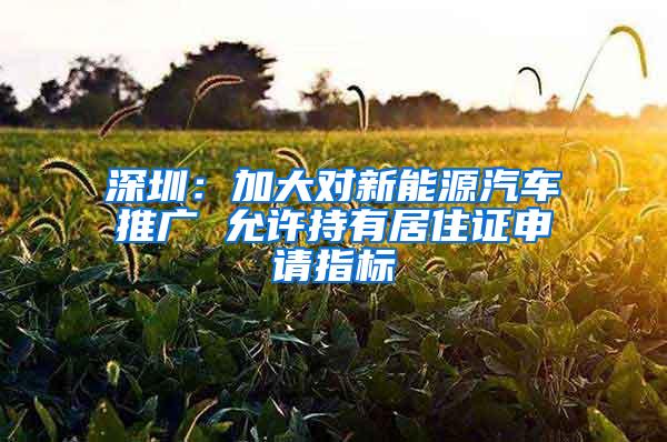 深圳：加大对新能源汽车推广 允许持有居住证申请指标