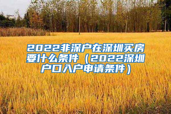 2022非深户在深圳买房要什么条件（2022深圳户口入户申请条件）