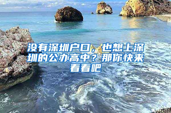 没有深圳户口，也想上深圳的公办高中？那你快来看看吧