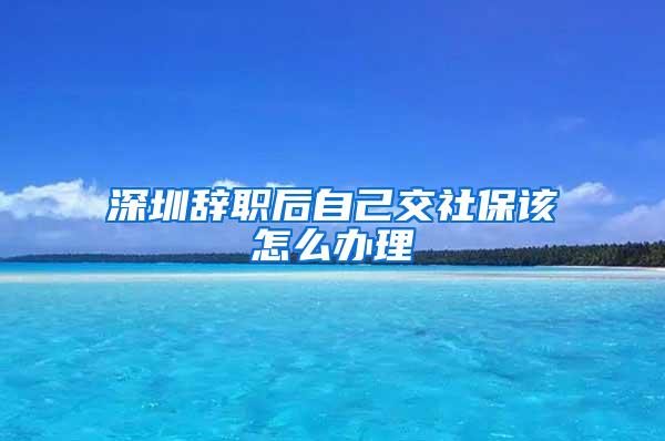 深圳辞职后自己交社保该怎么办理