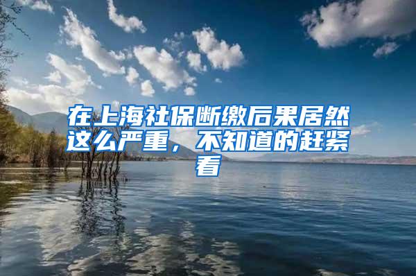 在上海社保断缴后果居然这么严重，不知道的赶紧看