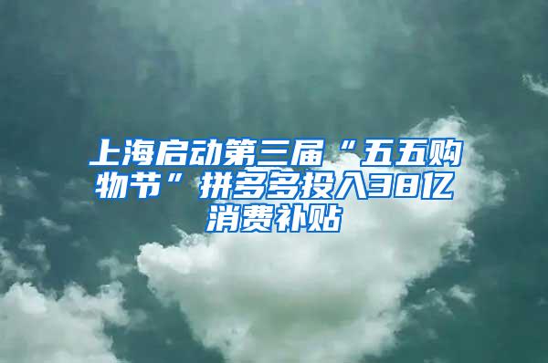 上海启动第三届“五五购物节”拼多多投入38亿消费补贴