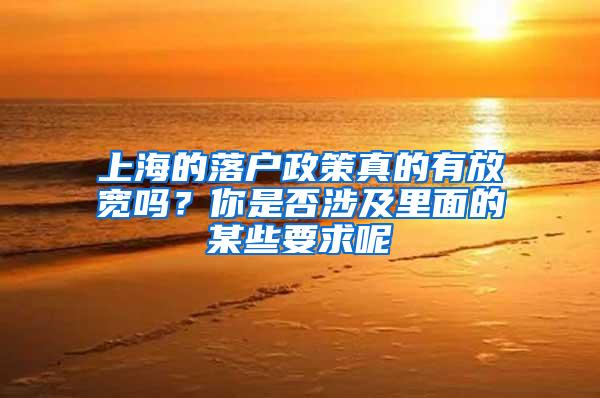 上海的落户政策真的有放宽吗？你是否涉及里面的某些要求呢