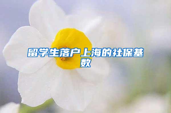 留学生落户上海的社保基数