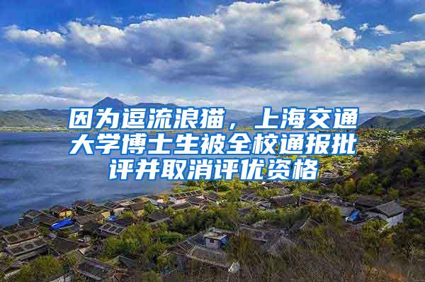 因为逗流浪猫，上海交通大学博士生被全校通报批评并取消评优资格