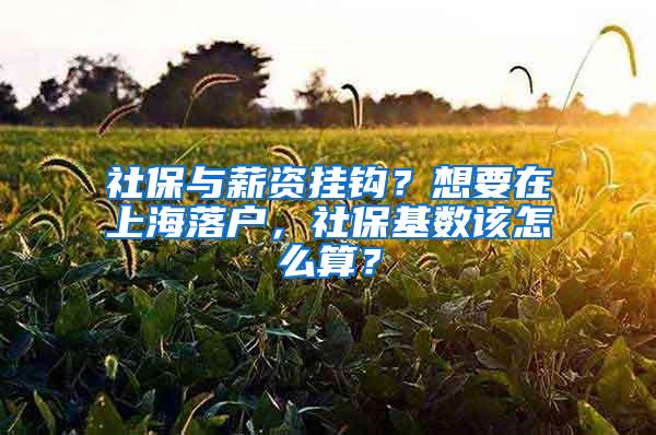 社保与薪资挂钩？想要在上海落户，社保基数该怎么算？