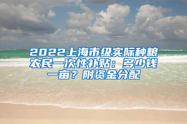 2022上海市级实际种粮农民一次性补贴：多少钱一亩？附资金分配